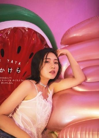 2025年天天免费资料百度中文