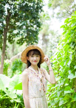 窝窝影院免费观看电视剧最新章节