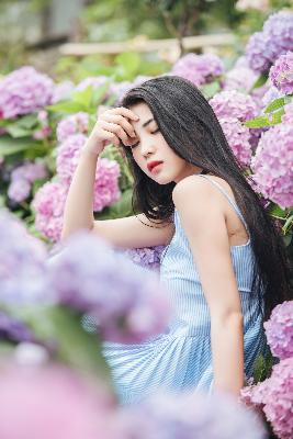 一笑随歌电视剧免费观看